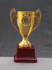 Winners Cup trophy